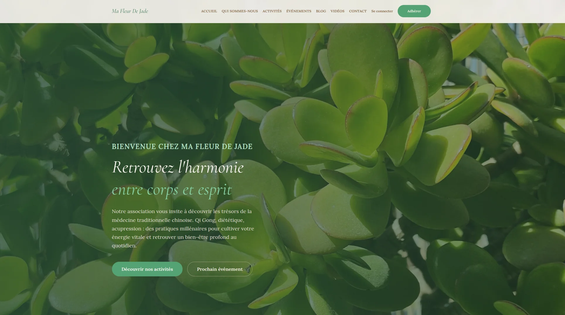 Capture d'écran du site Ma Fleur de Jade - Association bien-être et médecine chinoise
